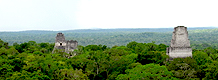 Tikal